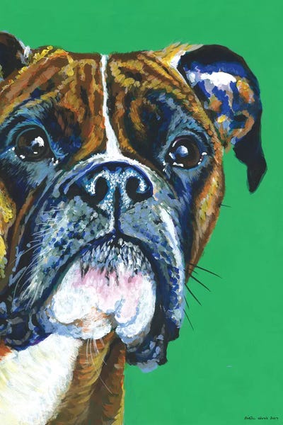 Boxers: Boxer On Emerald by Kirstin Wood