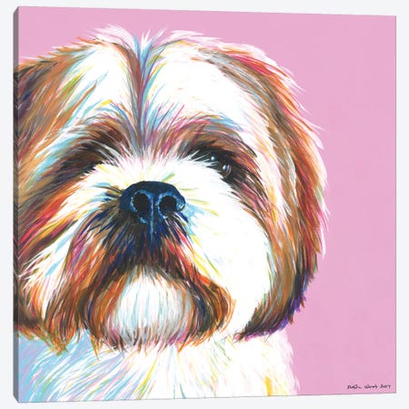 Shih Tzu On Pink, Square Canvas Print #KWO30} by Kirstin Wood Canvas Art