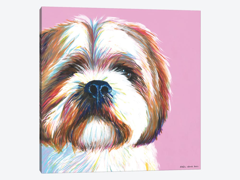 Shih Tzu On Pink, Square by Kirstin Wood 1-piece Canvas Print