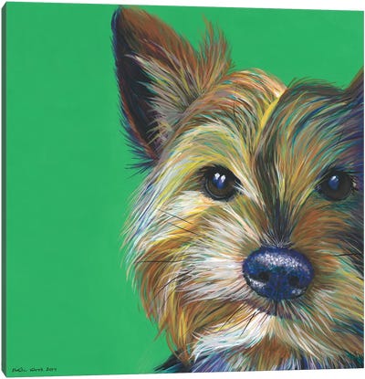 Yorkshire Terrier On Emerald, Square Canvas Art Print - Yorkshire Terrier Art