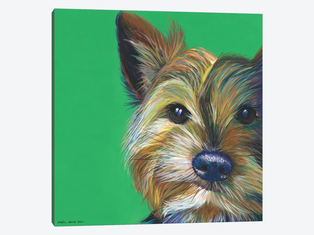 Yorkshire Terrier On Emerald, Square by Kirstin Wood 1-piece Canvas Art