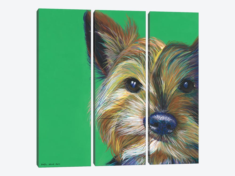 Yorkshire Terrier On Emerald, Square by Kirstin Wood 3-piece Canvas Artwork