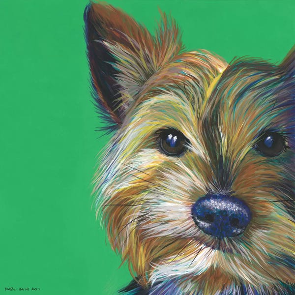 Terriers: Yorkshire Terrier On Emerald, Square by Kirstin Wood