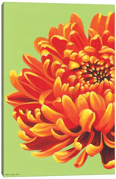 Orange Bloom Canvas Art Print - Kirstin Wood