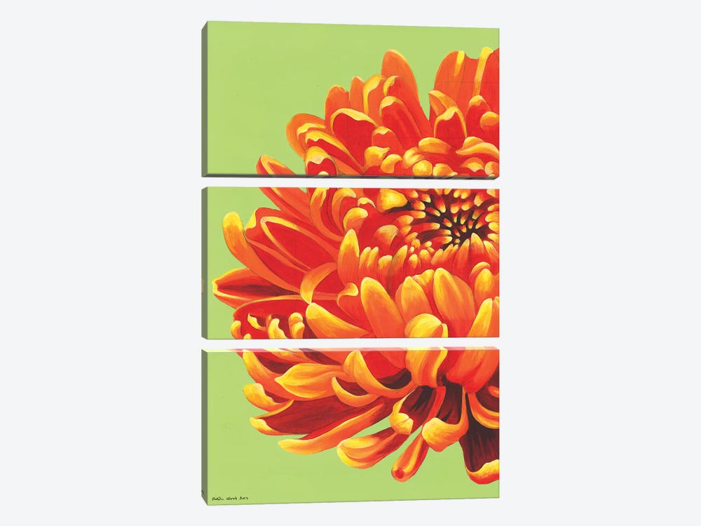 Orange Bloom by Kirstin Wood 3-piece Canvas Art