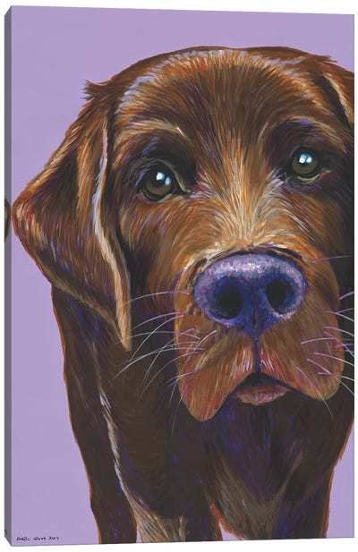 Brown Labrador On Lilac Canvas Art Print - Kirstin Wood