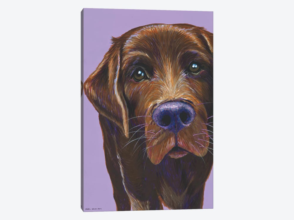 Brown Labrador On Lilac by Kirstin Wood 1-piece Canvas Art
