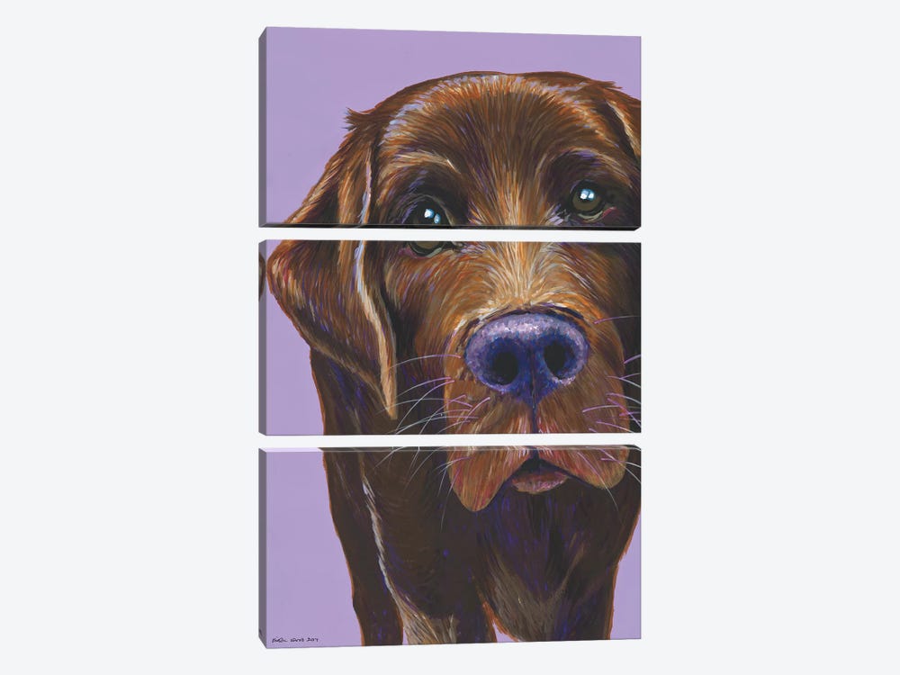 Brown Labrador On Lilac by Kirstin Wood 3-piece Canvas Art