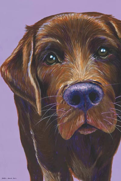 Labrador Retrievers: Brown Labrador On Lilac by Kirstin Wood