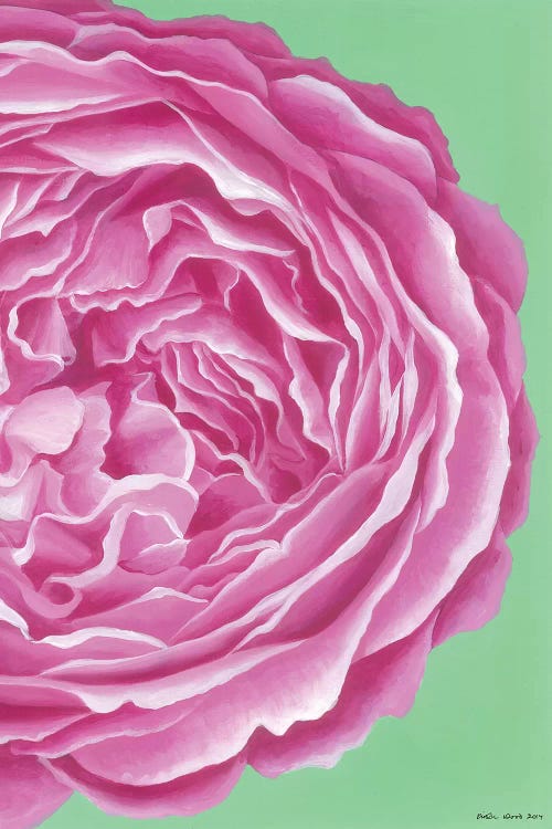 Pink Rose by Kirstin Wood wall art