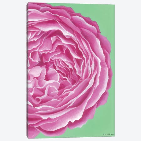 Pink Rose Canvas Print #KWO40} by Kirstin Wood Canvas Print