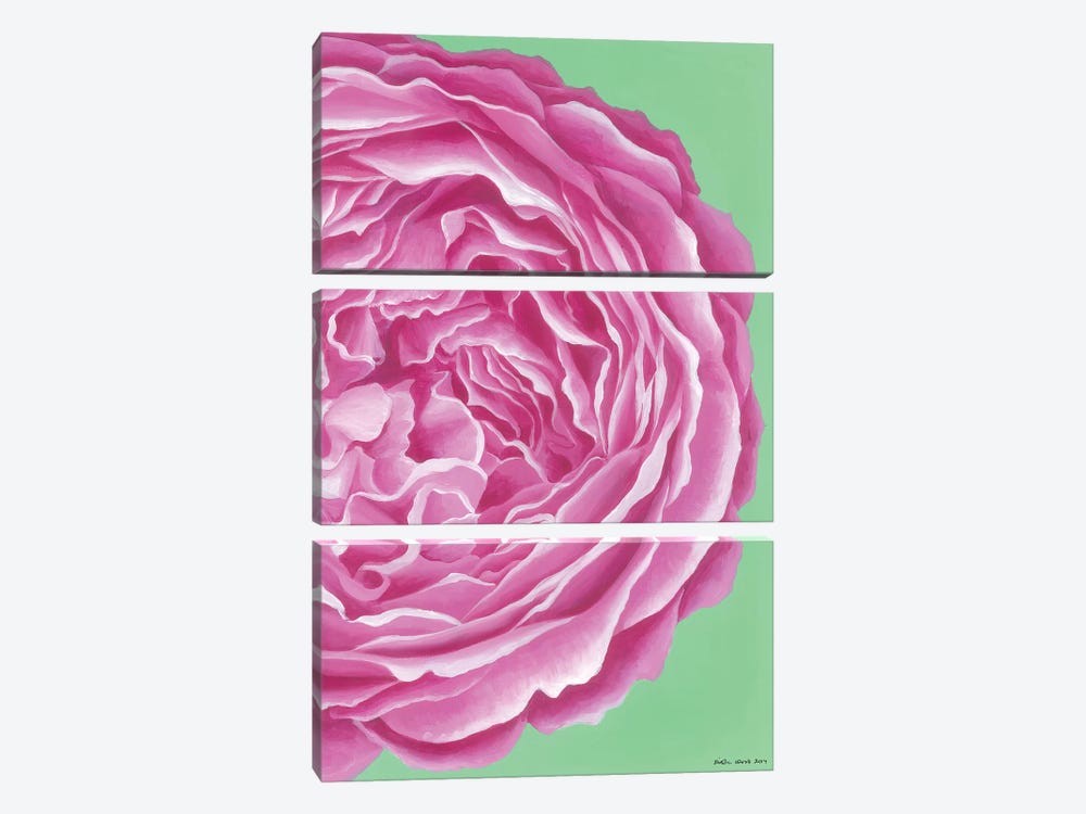 Pink Rose by Kirstin Wood 3-piece Canvas Art