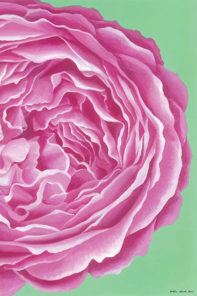 Kirstin Wood: Pink Rose by Kirstin Wood