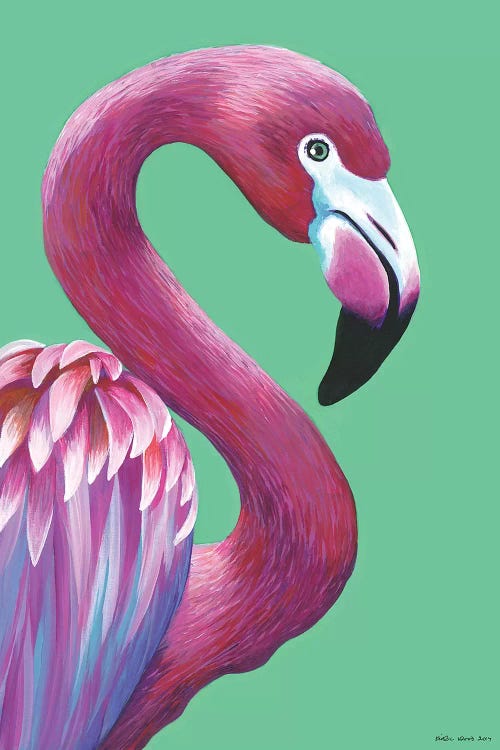 Pretty Flamingo