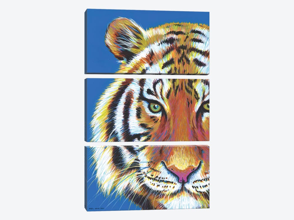 Tiger Tiger by Kirstin Wood 3-piece Art Print
