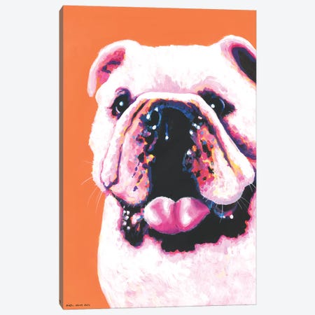Bulldog On Orange Canvas Print #KWO4} by Kirstin Wood Canvas Print