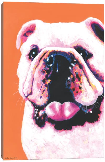 Bulldog On Orange Canvas Art Print - Bulldog Art