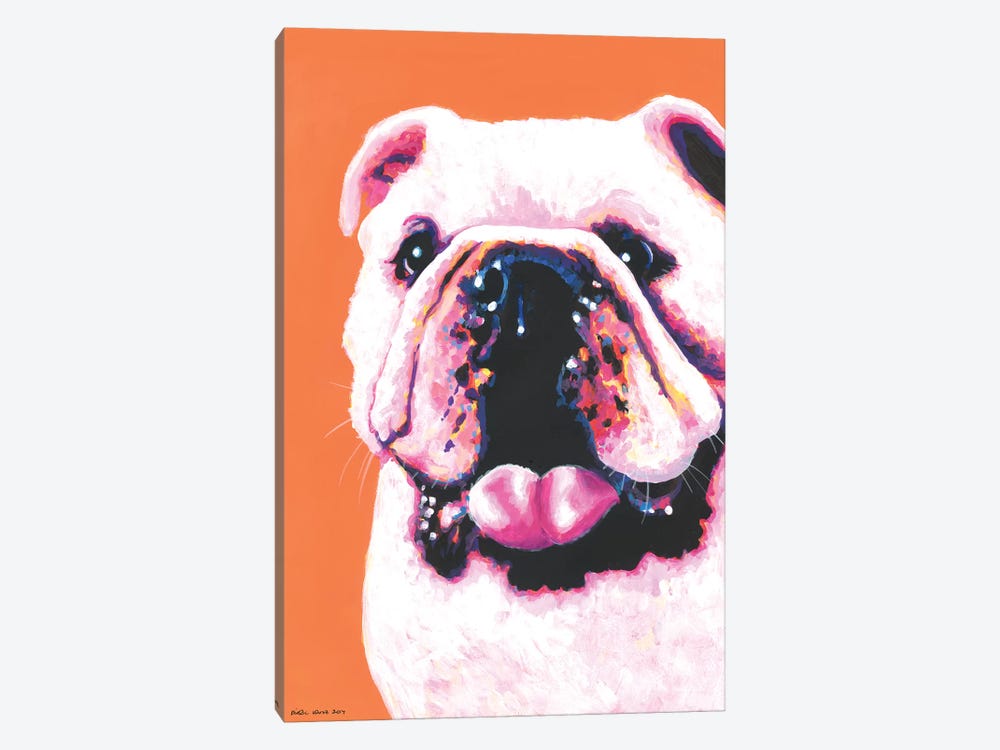 Bulldog On Orange by Kirstin Wood 1-piece Canvas Art Print