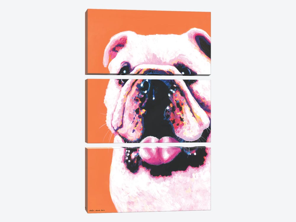 Bulldog On Orange by Kirstin Wood 3-piece Art Print
