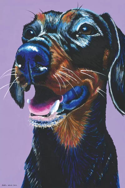 Dachshund On Lilac by Kirstin Wood art print