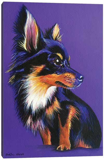 Chihuahua On Purple Canvas Art Print