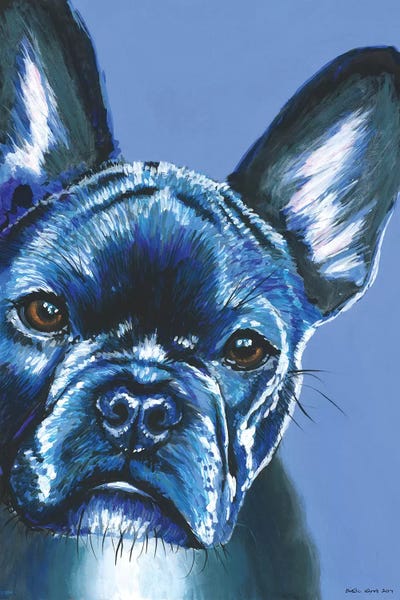 French Bulldog On Blue by Kirstin Wood art print