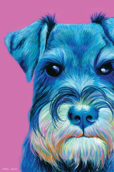 Schnauzer On Pink by Kirstin Wood art print