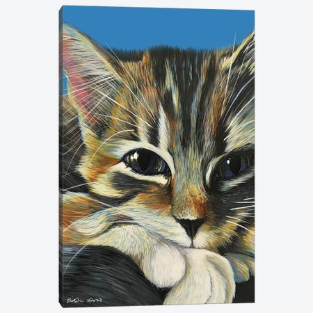 Tabby On Blue Canvas Print #KWO64} by Kirstin Wood Canvas Artwork