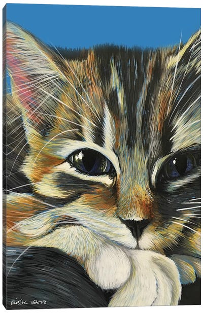 Tabby On Blue Canvas Art Print - Tabby Cat Art