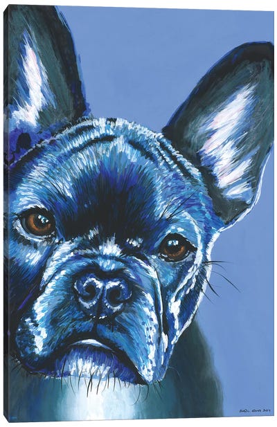 French Bulldog On Blue Canvas Art Print - French Bulldog Art