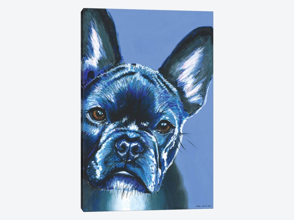 French Bulldog On Blue by Kirstin Wood 1-piece Canvas Print