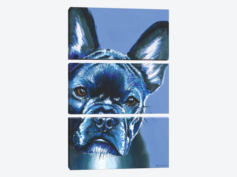 French Bulldog On Blue by Kirstin Wood 3-piece Art Print
