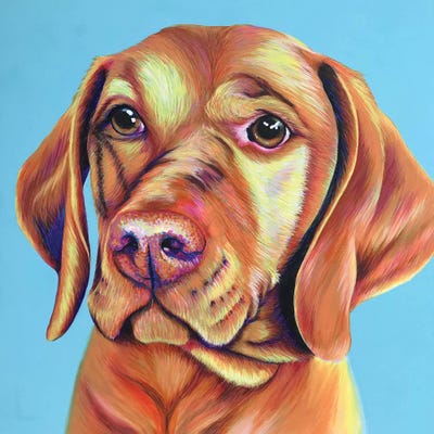 Vizsla On Duck Egg Blue by Kirstin Wood art print