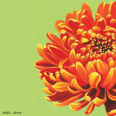 Orange Bloom by Kirstin Wood art print