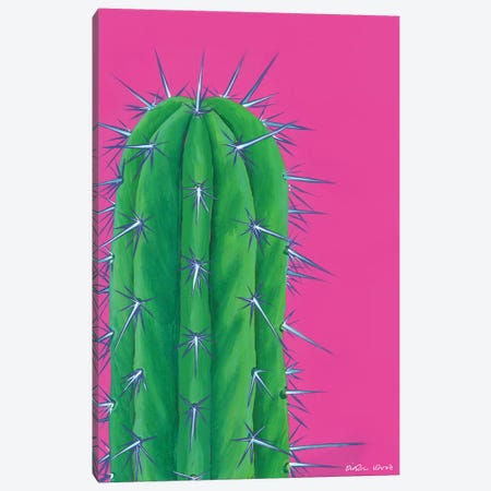 Prickly Cactus Canvas Print #KWO86} by Kirstin Wood Canvas Wall Art