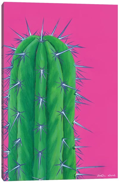 Prickly Cactus Canvas Art Print