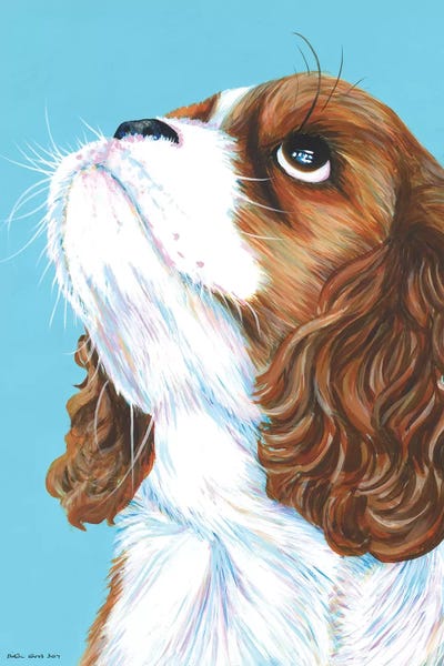 King Charles Cavalier On Aqua by Kirstin Wood art print