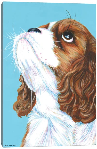 King Charles Cavalier On Aqua Canvas Art Print - Puppy Art