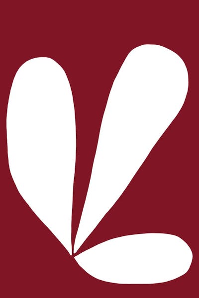 Bloom by Kerry Campbell canvas print