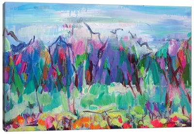 Candy Mountain Canvas Art Print - Kyungsoo Lee