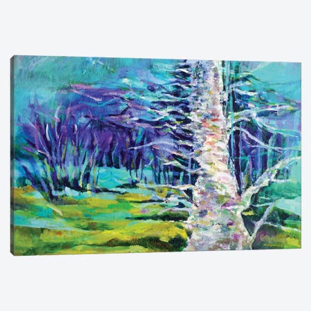 Old Tree In A New Forest Canvas Print #KYG4} by Kyungsoo Lee Canvas Print