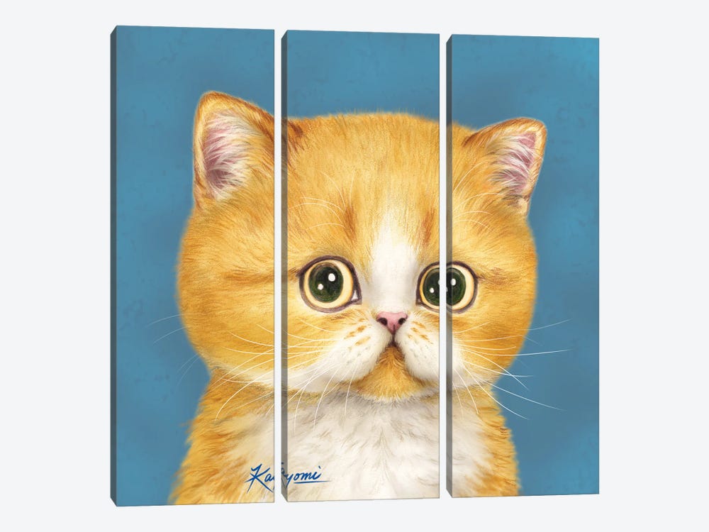 365 Days Of Cats: 15 by Kayomi Harai 3-piece Canvas Art Print