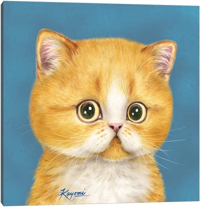 365 Days Of Cats: 15 Canvas Art Print - Kayomi Harai