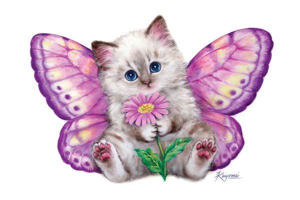 Kayomi Harai: Butterfly by Kayomi Harai