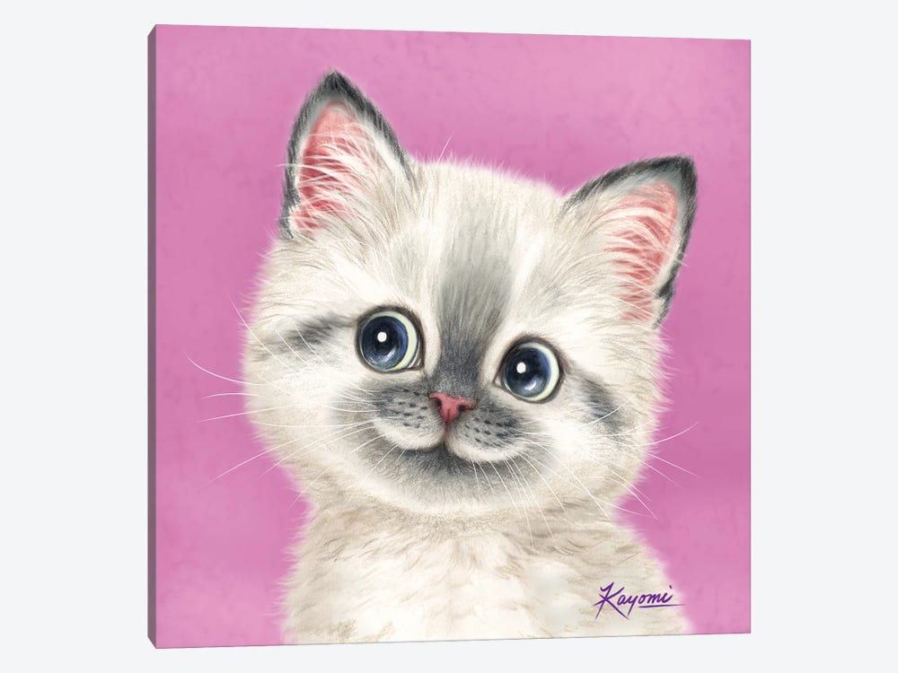 365 Days Of Cats: 16 by Kayomi Harai 1-piece Canvas Wall Art