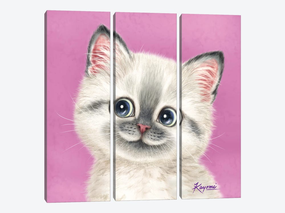 365 Days Of Cats: 16 by Kayomi Harai 3-piece Canvas Wall Art