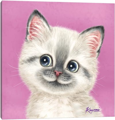 365 Days Of Cats: 16 Canvas Art Print - Kayomi Harai
