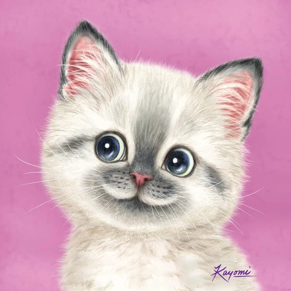 Kittens: 365 Days Of Cats: 16 by Kayomi Harai