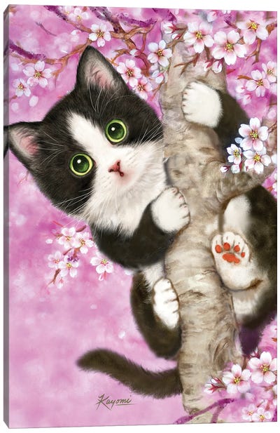Cherry Tree Lookout Canvas Art Print - Tuxedo Cat Art
