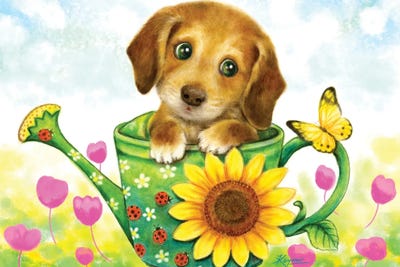 Dachshund Sunflower by Kayomi Harai metal wall art